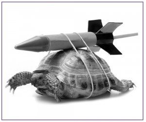 acb55c7e-a3b8-43eb-ae9b-a6cd96336dc6